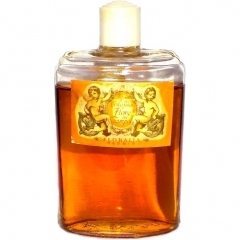 Similar perfume 17691